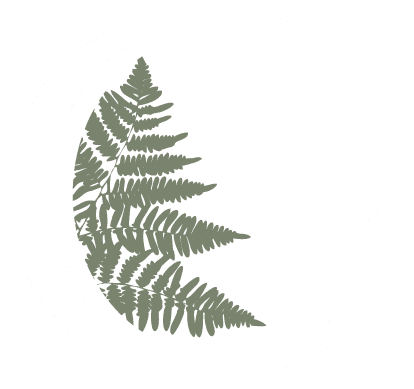 GreenRoots Landscape Design Firm