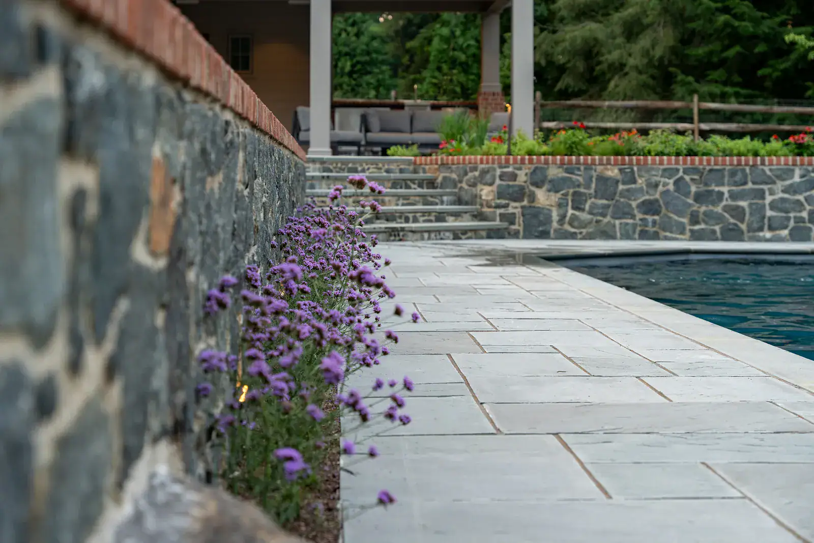 Verbena growing along a stone wall beside a bluestone pool deck with stone steps leading to a covered seating area in the background