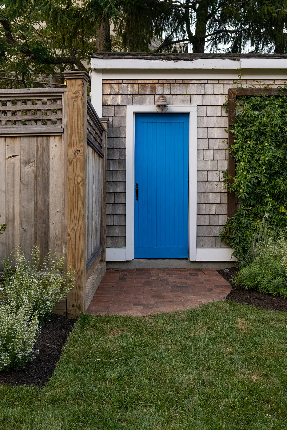 Bold blue shed door with a brick paver landing, cedar shingle siding, and a vine-covered steel trellis in a West Chester PA garden design, framed by a cedar privacy fence, white calamint, and lawn